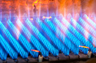 Walmer gas fired boilers
